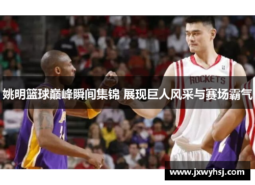 姚明篮球巅峰瞬间集锦 展现巨人风采与赛场霸气