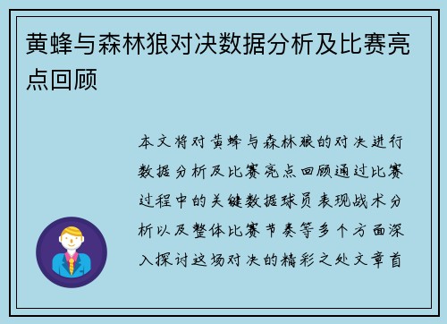 黄蜂与森林狼对决数据分析及比赛亮点回顾